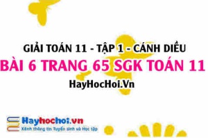 Giải bài 6 trang 65 Toán 11 tập 1 SGK Cánh Diều